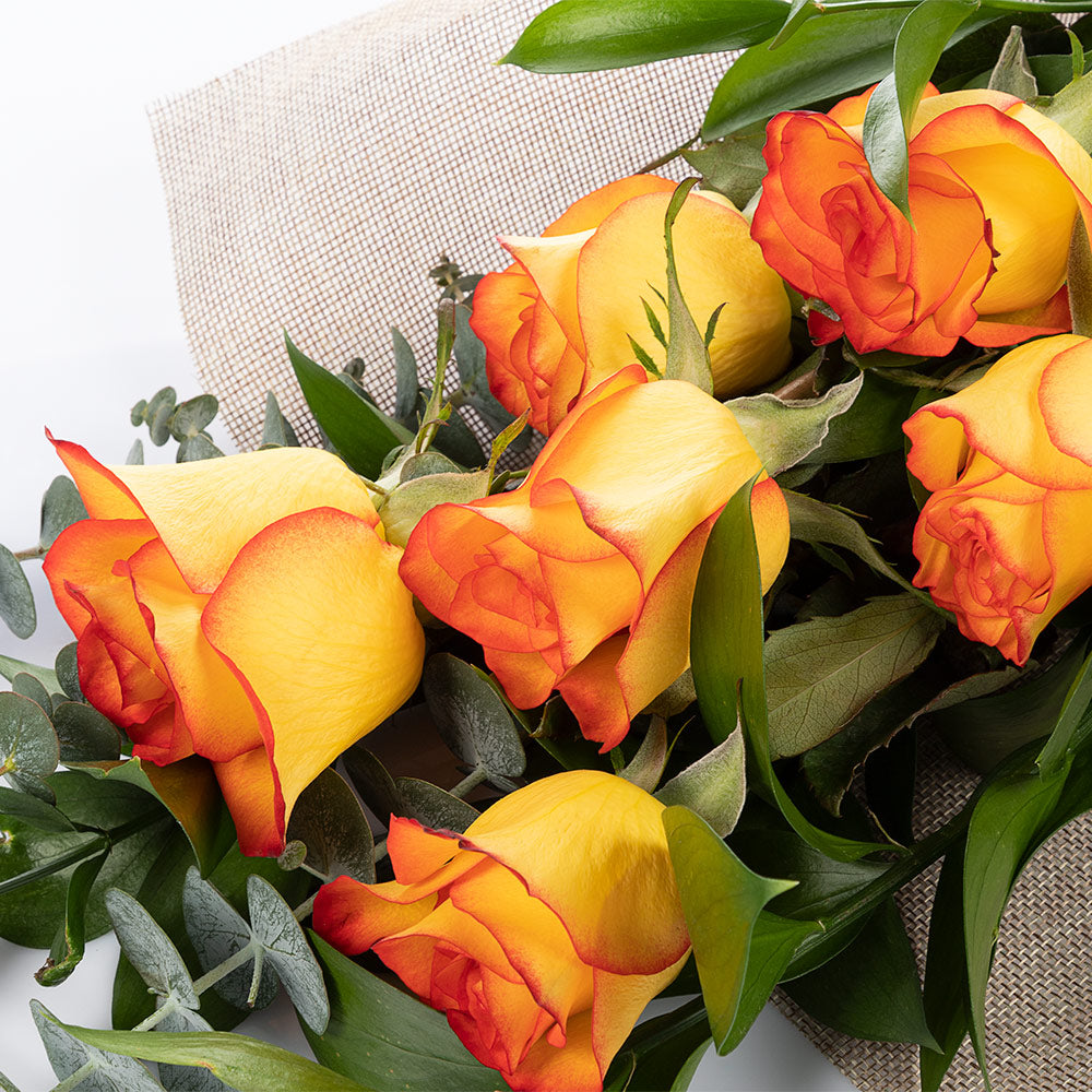 Bouquet of 6 roses