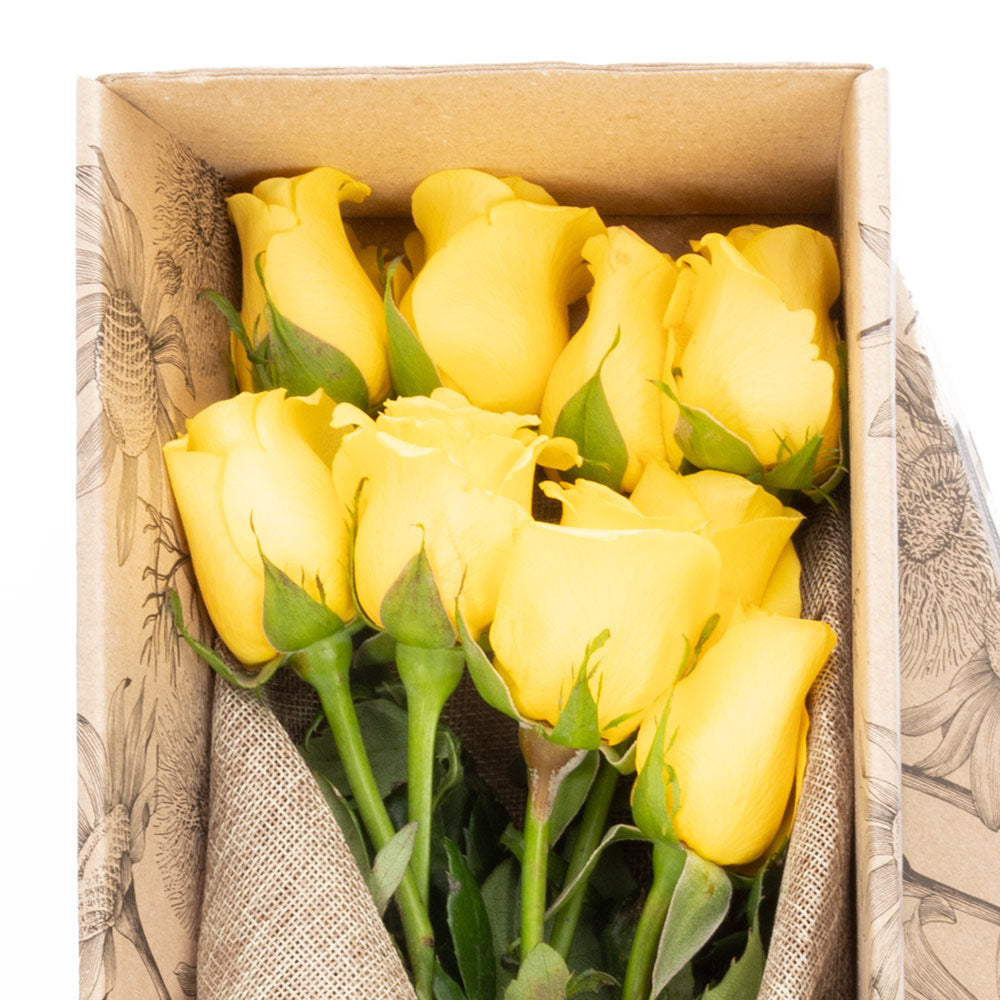 Box of 9 roses