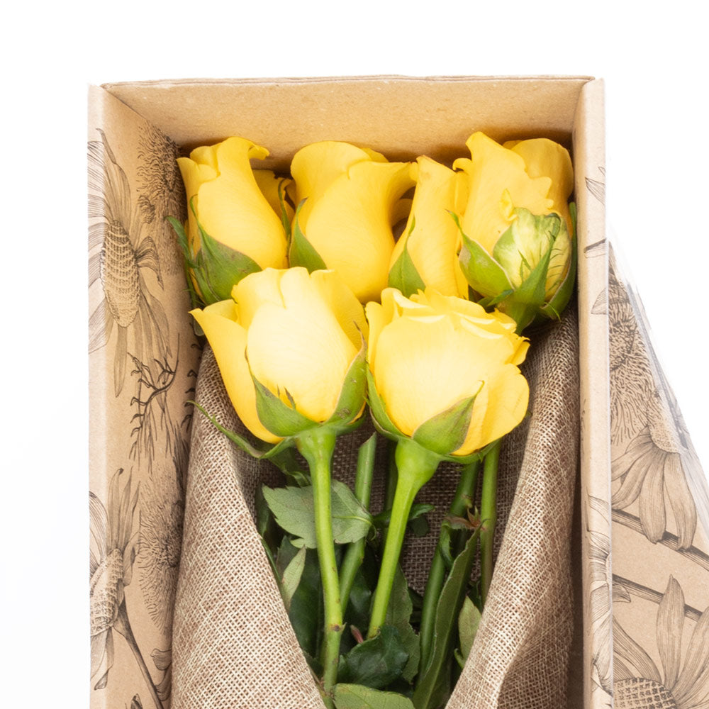 Box of 12 roses