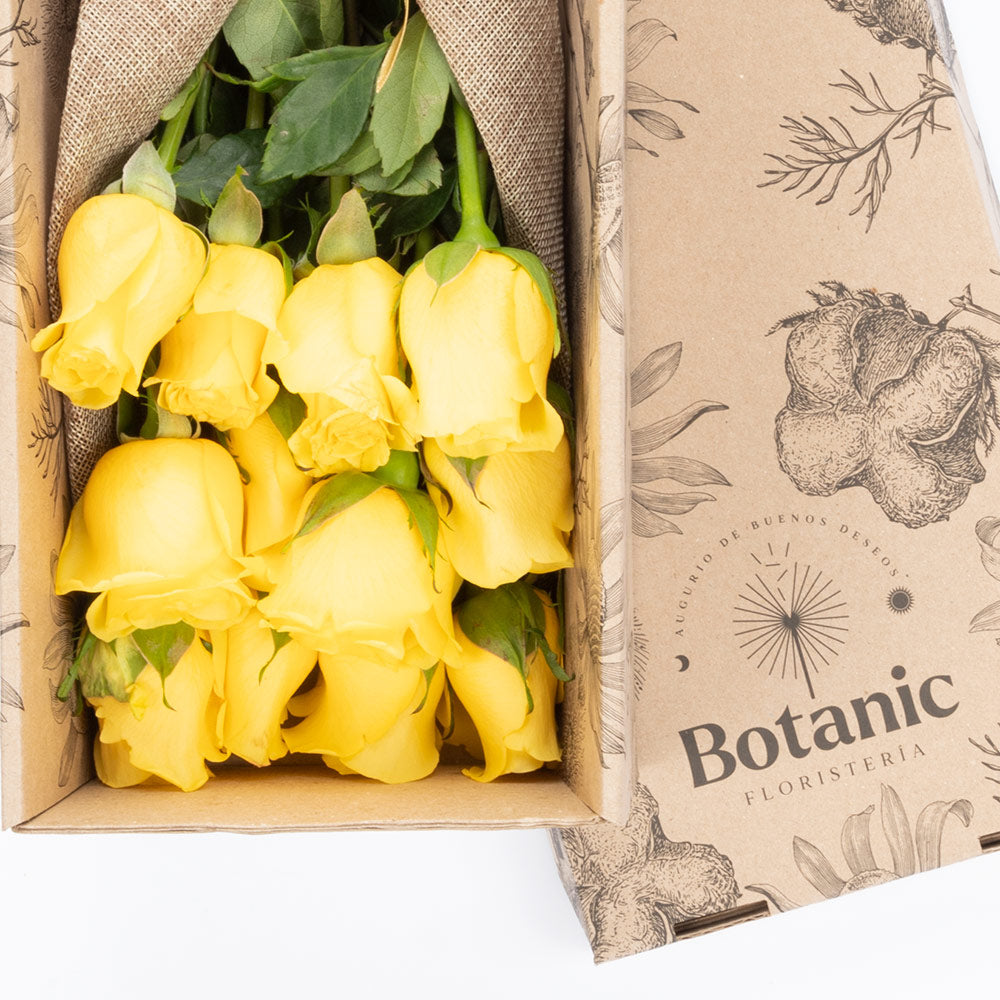 Box of 24 roses
