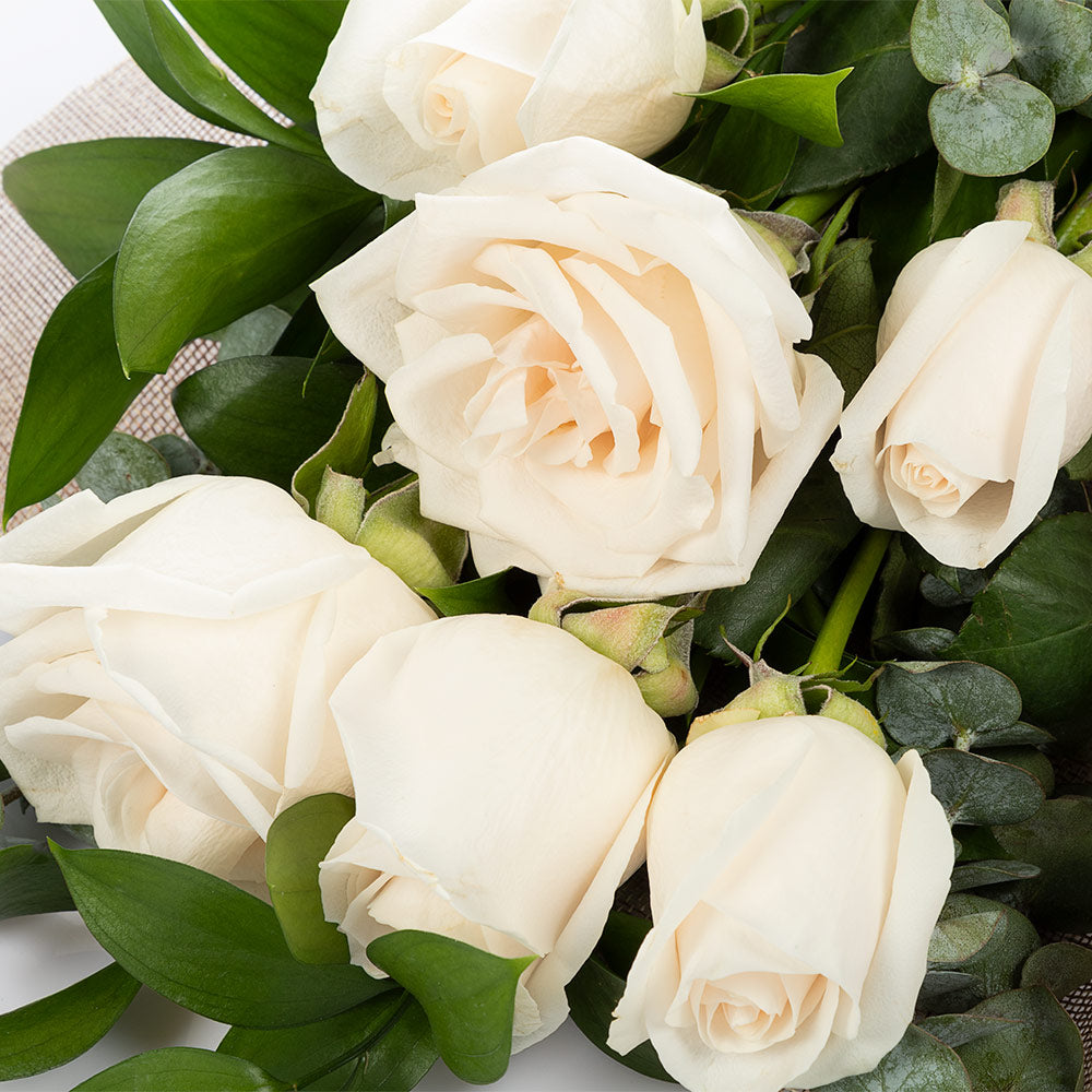 Bouquet of 6 roses