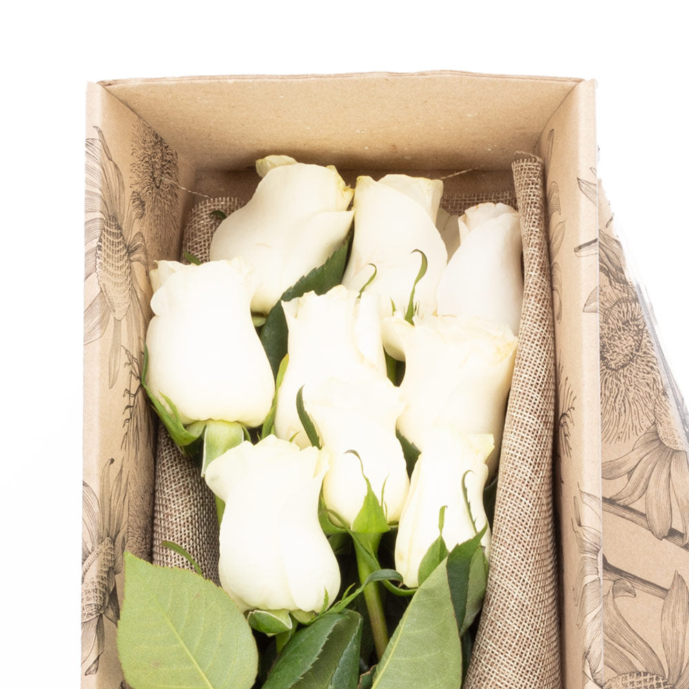 Box of 9 roses