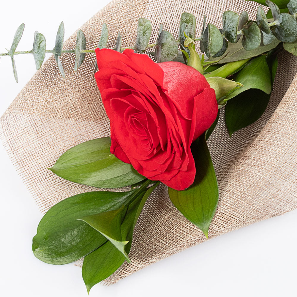 Bouquet of 1 decorated rose