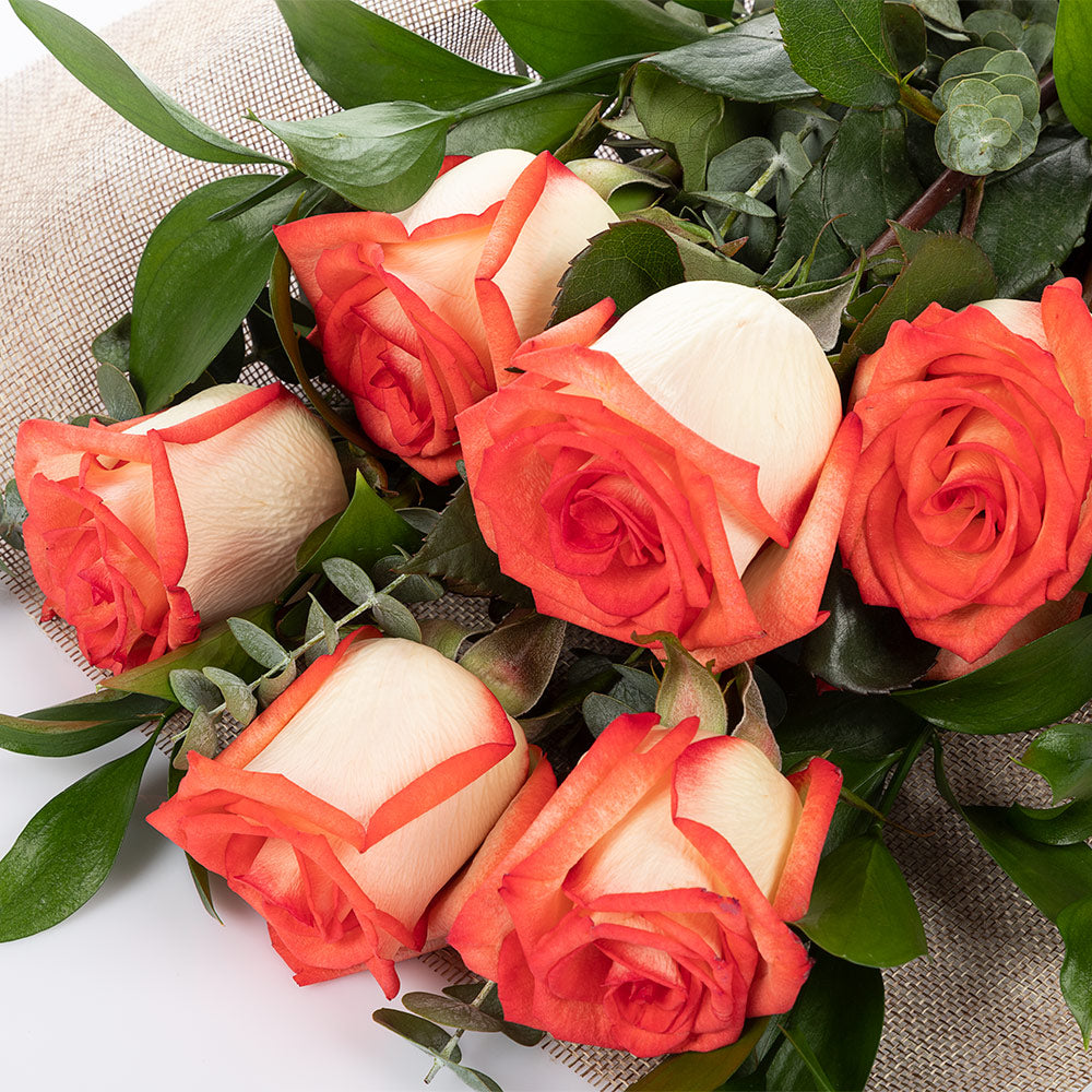 Bouquet of 6 roses