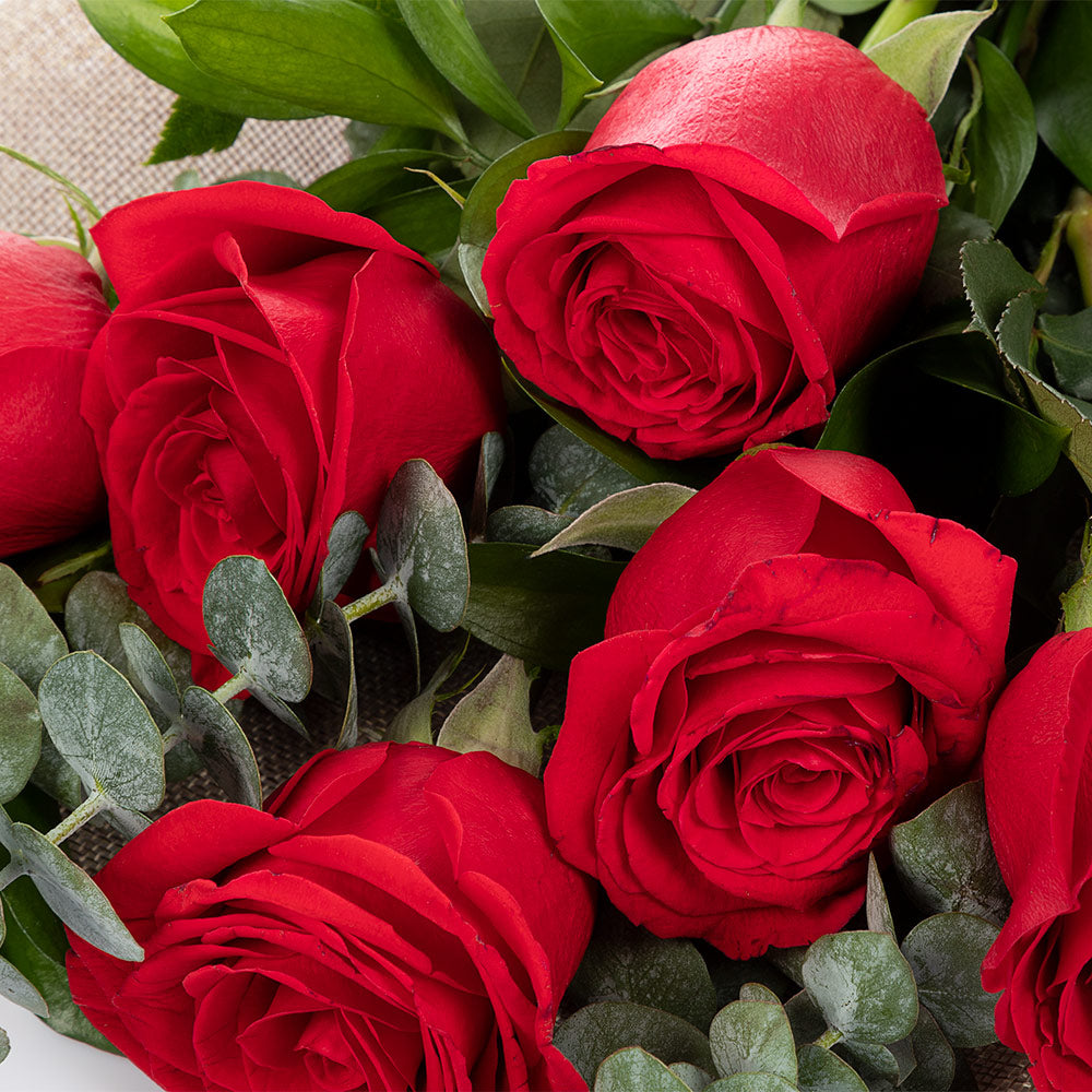 Bouquet of 6 roses
