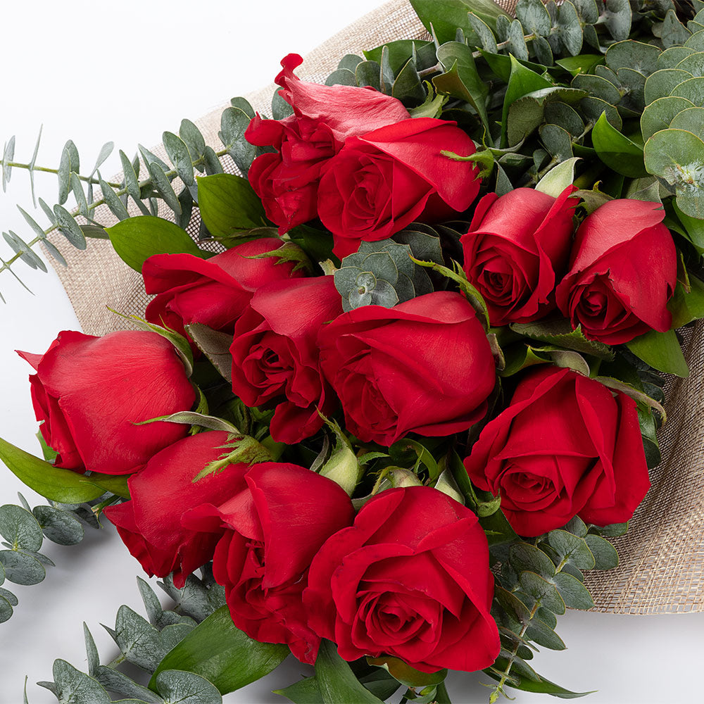 Bouquet de 12 rosas rojas/rosadas
