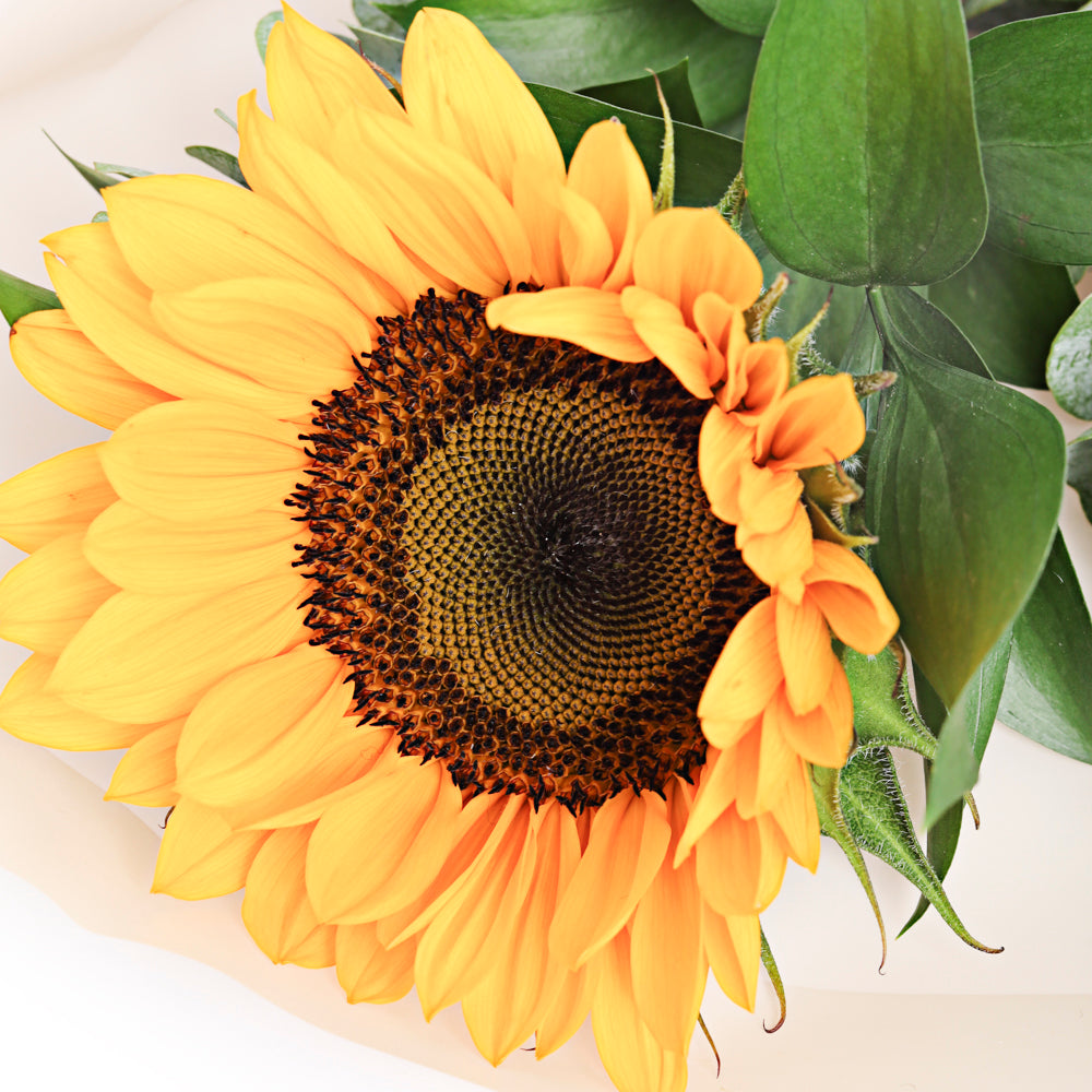 Bouquet de 1 girasol