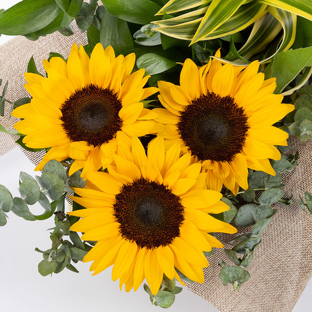 Bouquet de 3 girasoles