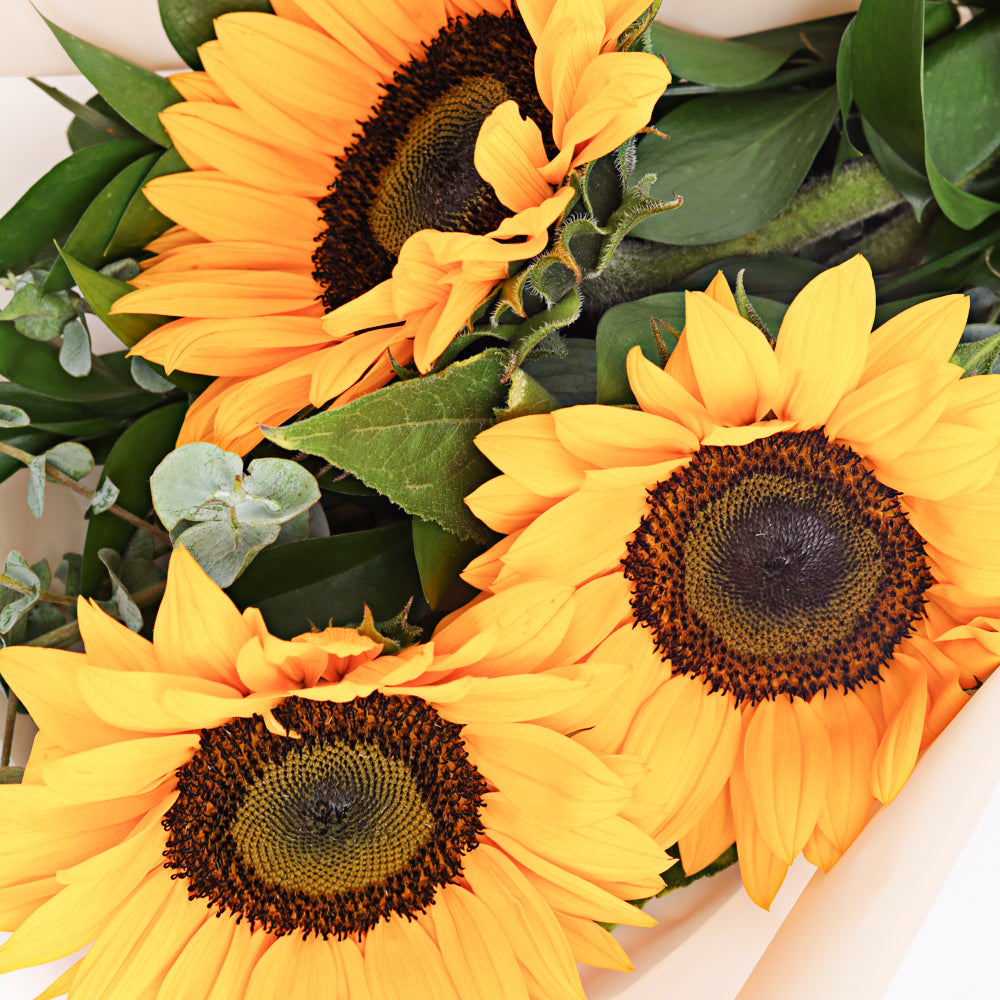 Bouquet de 3 girasoles