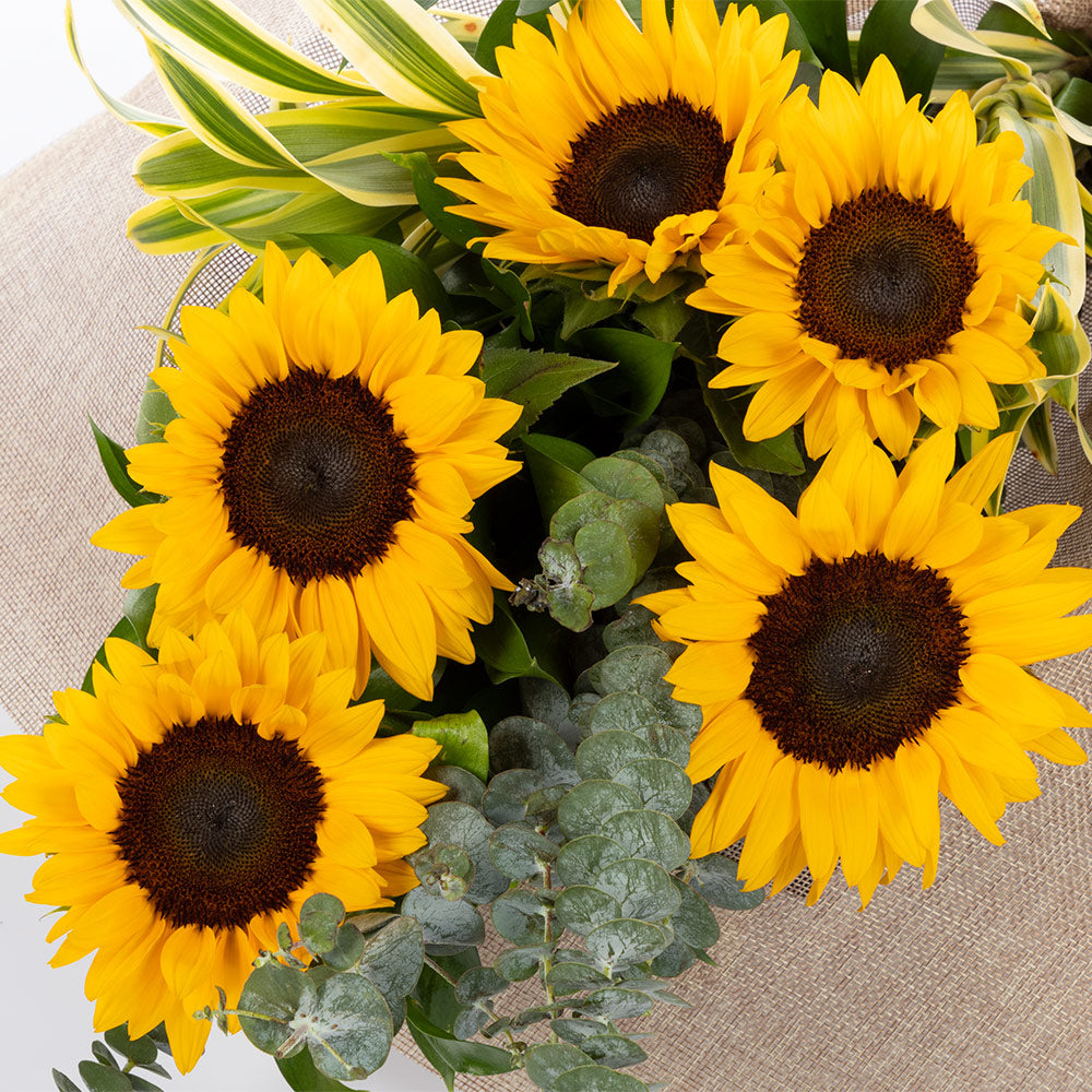 Bouquet de 5 girasoles