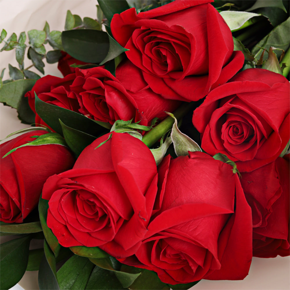 Bouquet de 9 rosas rojas/rosadas