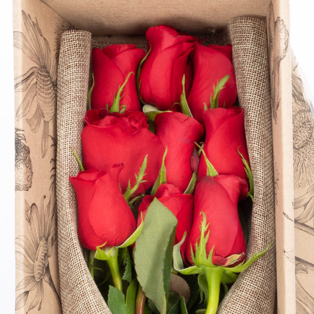 Caja de 9 rosas rojas/rosadas